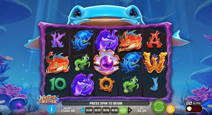 Manta Mayhem - ecran de joc cu role și manta